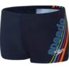 Speedo Aquashorts - Easy Stripe