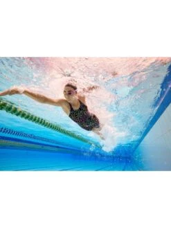 AMANZI Kneelength - Aquatica -Aqua Fit Wear amanzi kneelength aquatica am37303 7