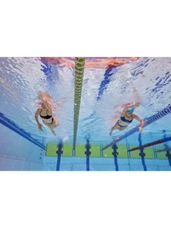 AMANZI Bikini Top - Neptune 12 AMANZI Bikini Top - Neptune -Aqua Fit Wear amanzi neptune bikini top am11279 4