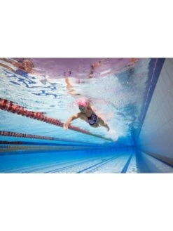 AMANZI Pro One Piece - Botanica 17 AMANZI Pro One Piece - Botanica -Aqua Fit Wear amanzi pro one piece botanica am10307 7