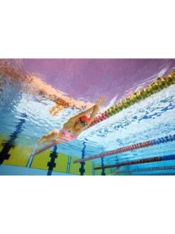 AMANZI Pro One Piece - Peachy Palms -Aqua Fit Wear amanzi pro one piece peachy palms am10302 5