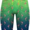 Q Swimwear Jammers - Party Flamingos 2 Q Swimwear Jammers - Party Flamingos -Aqua Fit Wear q swimwear party flamingos jammers qspfl