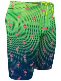 Q Swimwear Jammers - Party Flamingos -Aqua Fit Wear q swimwear party flamingos jammers qspfl 2