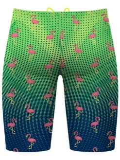Q Swimwear Jammers - Party Flamingos -Aqua Fit Wear q swimwear party flamingos jammers qspfl 3