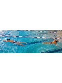 StrechCordz Grudge Belt -Aqua Fit Wear strechcordz grudge belt s120 2